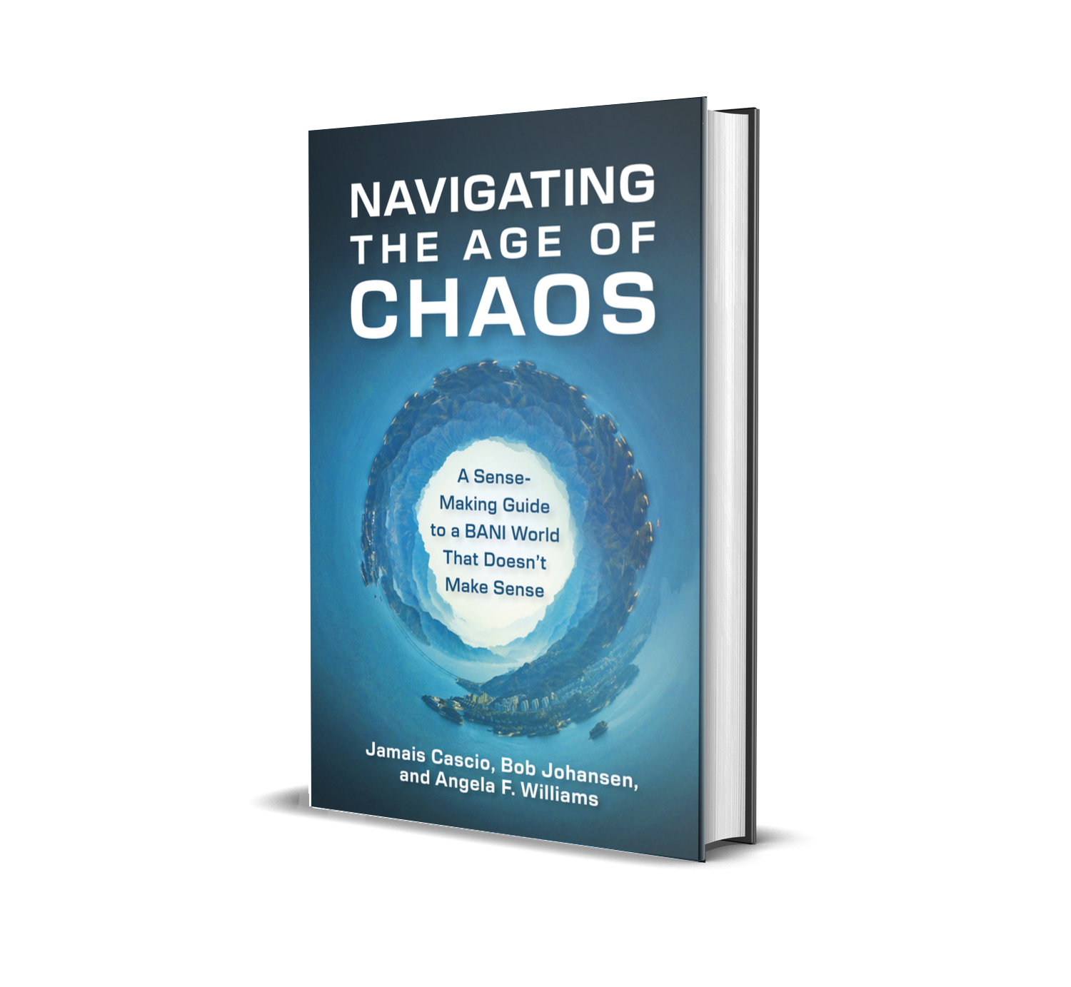 Navigating the Chaos: Local Resource Guide Navigating the Chaos: A Local Resource Guide